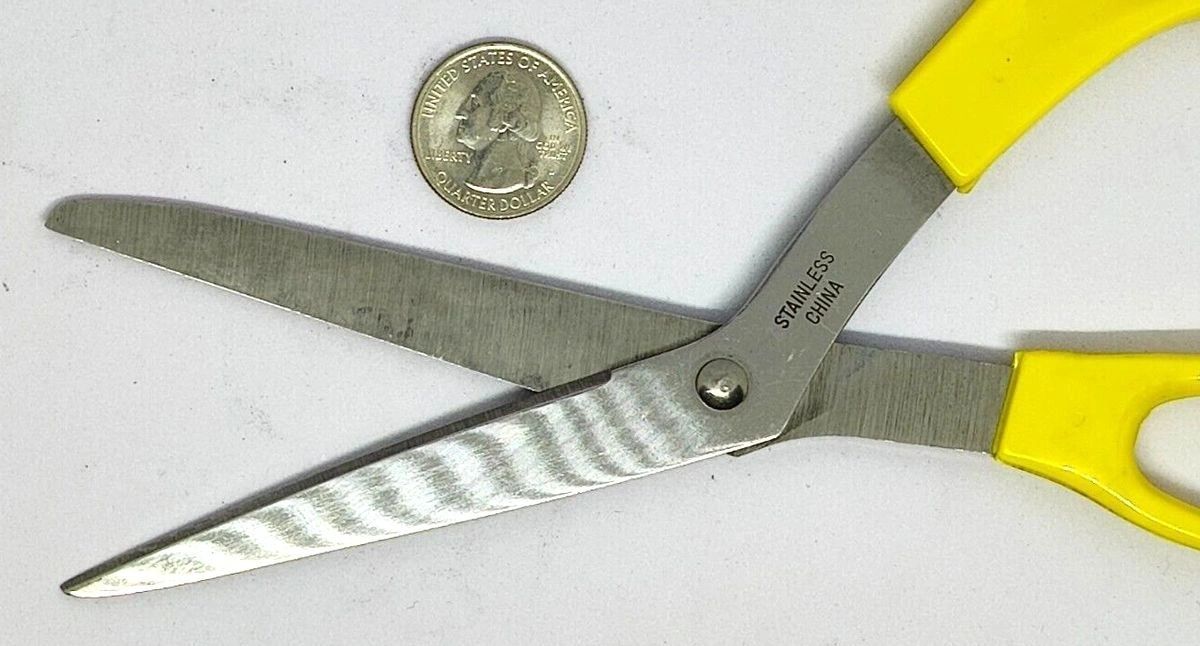 Angled Stainless Steel Scissors.